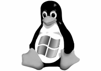 Tux with a Windows logo on his chest